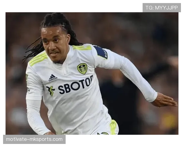 英超外援表现 英超外援表现